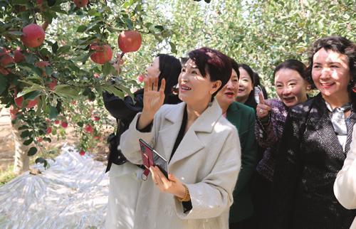 “民生为大”援疆行｜浙江援疆实施“石榴红·巾帼工坊”项目点亮女性就业创业梦