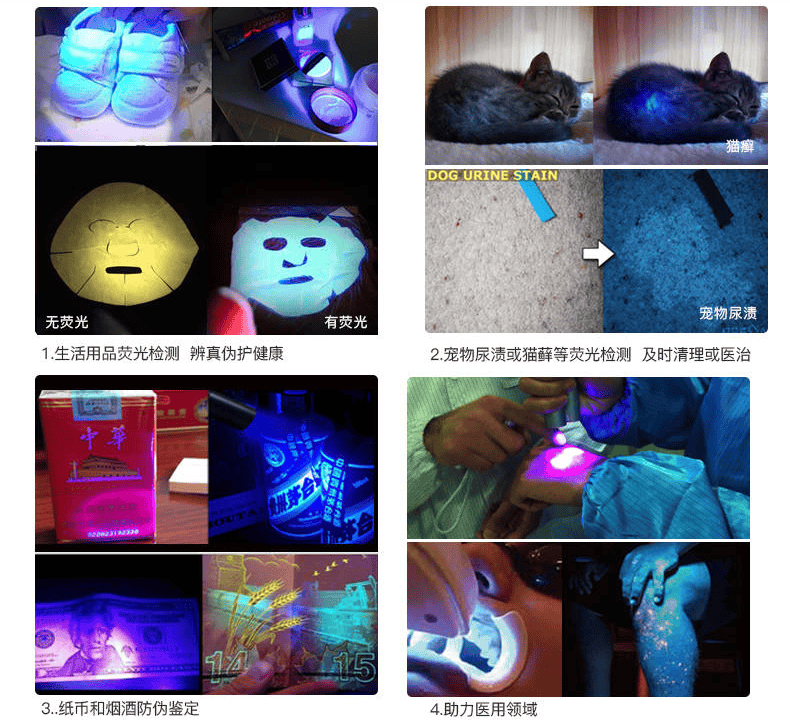 疝气手电筒的定义和使用领域？